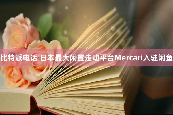 比特派电话 日本最大闲置走动平台Mercari入驻闲鱼